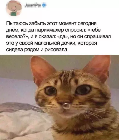 смешные картинки